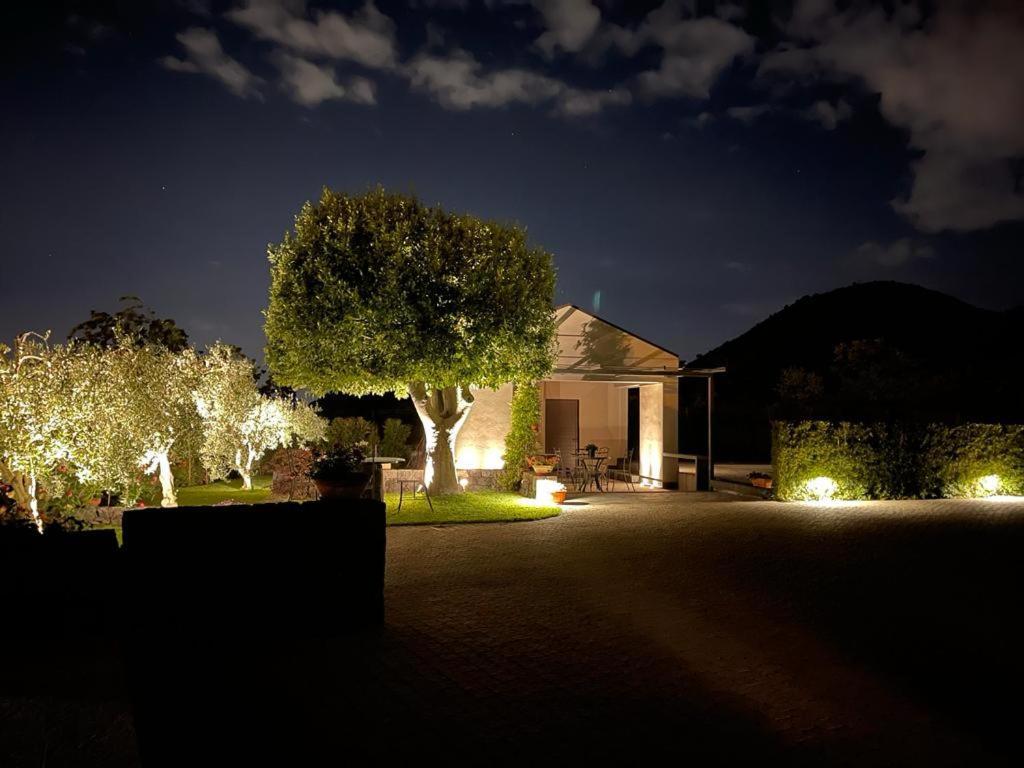 La Casa Dell'Alloro 제프라나에트니아 외부 사진